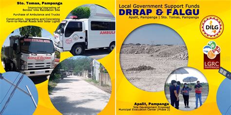 Locally Funded Projects (LFP) .